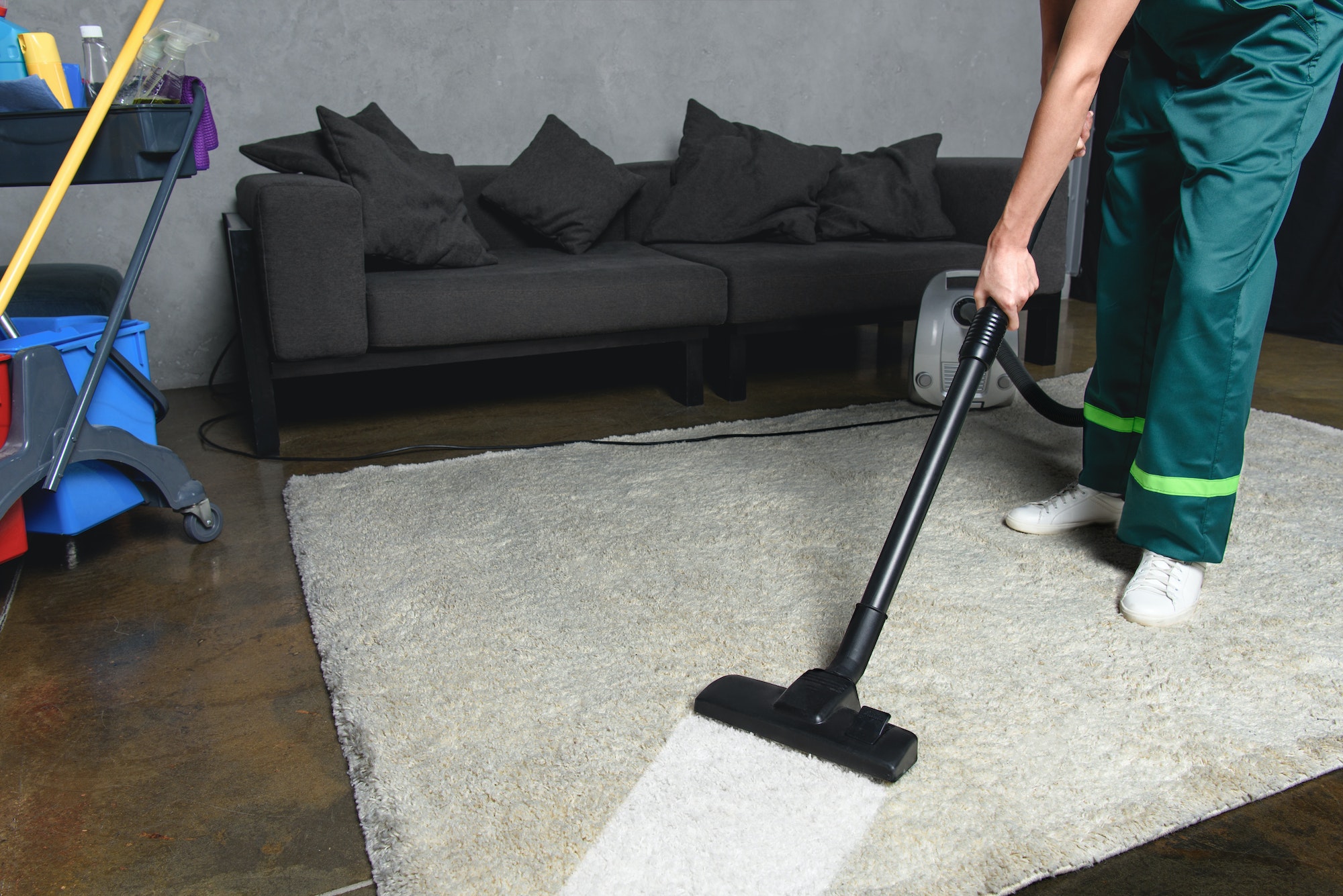 cropped shot of person using vacuum cleaner while cleaning white carpet